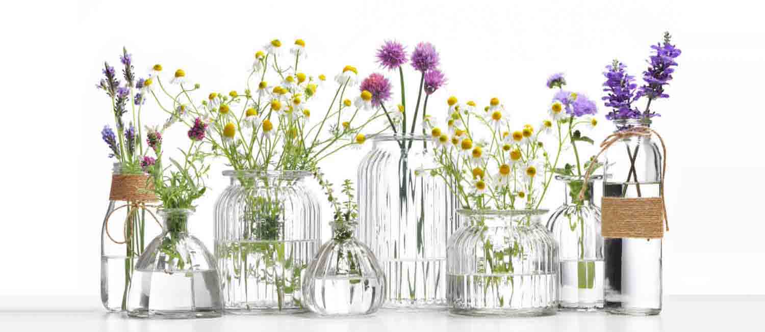 Flowers in bottles