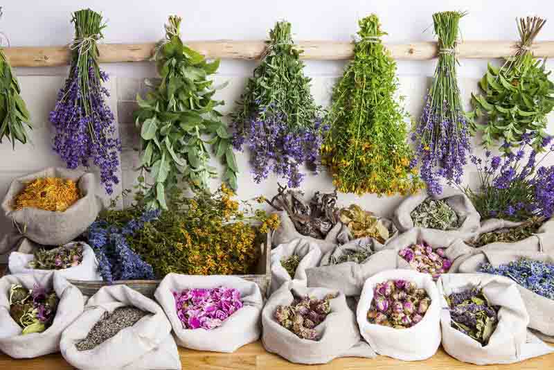 Lots of different herbs in sacks